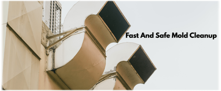 Air Duct Mold Removal in Cypress TX